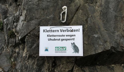 Artikelbild zu Artikel Öffnungszeiten Weihnachten und Neujahr