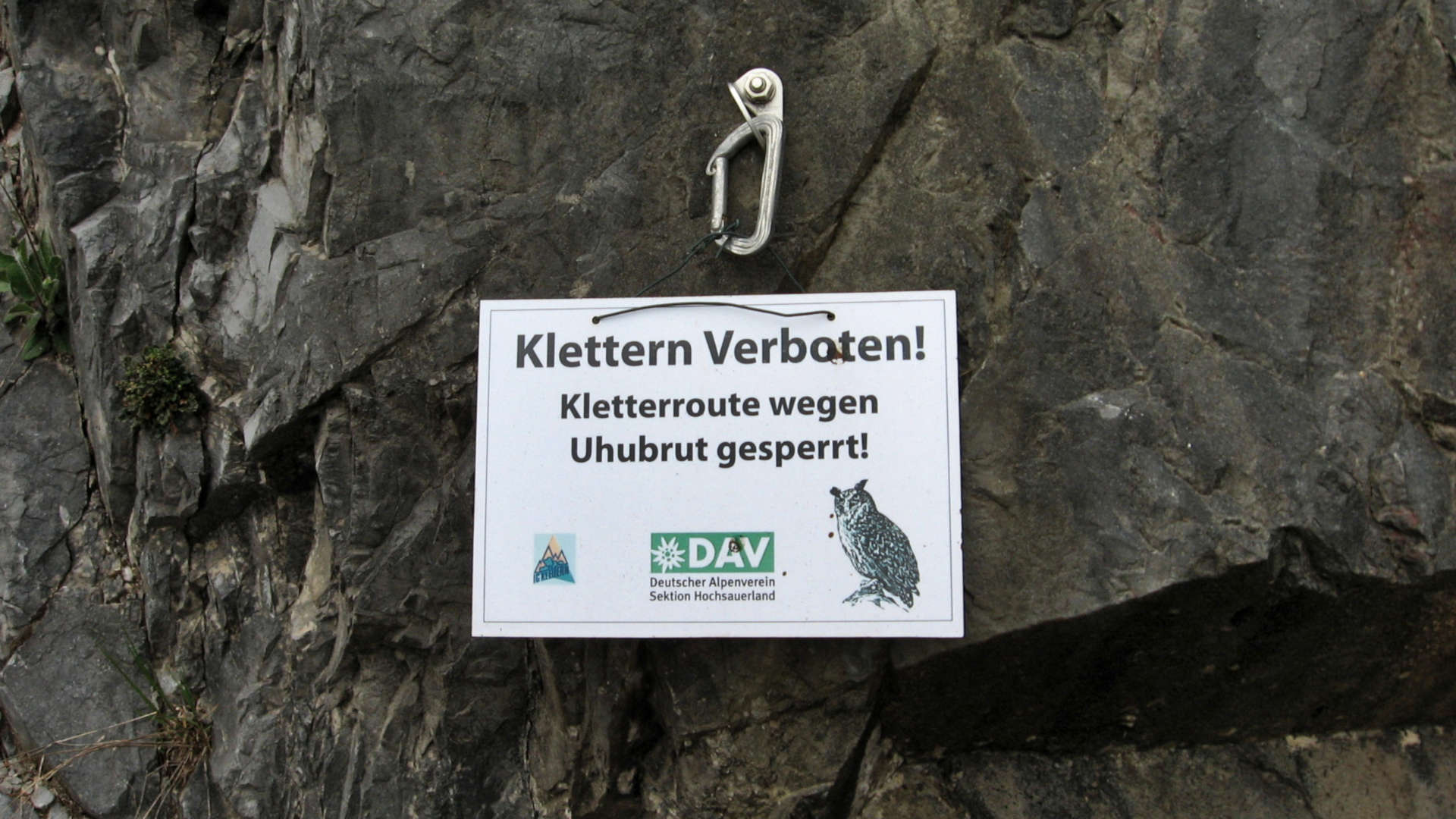 Kletterverbotsschild wegen Uhu-Brut
