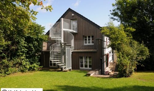 Artikelbild zu Artikel Wildgänse laden zur Auszeit