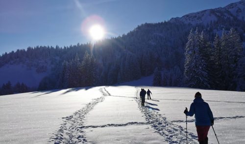 Artikelbild zu Artikel Anmeldung zur Schneeschuhtour für Anfänger:innen