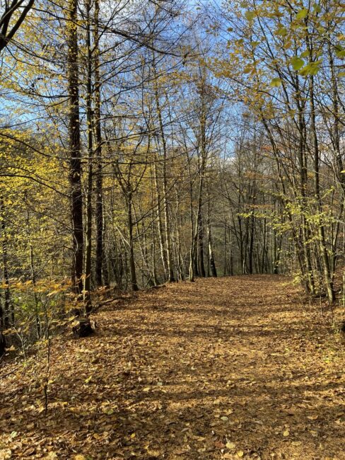 2025-11-02 Wandergruppe - Gravel-Tour