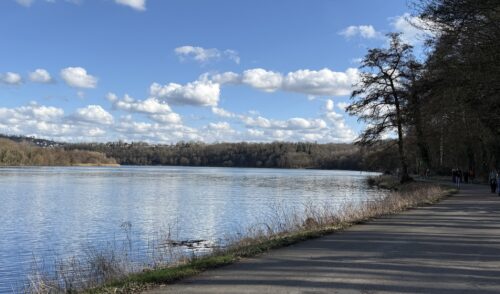 Artikelbild zu Artikel 19.04.2026 – Wandergruppe 🥾 – Tageswanderung Baldeneysteig